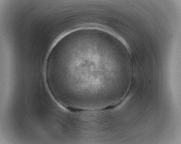 X0000113901533200910011332