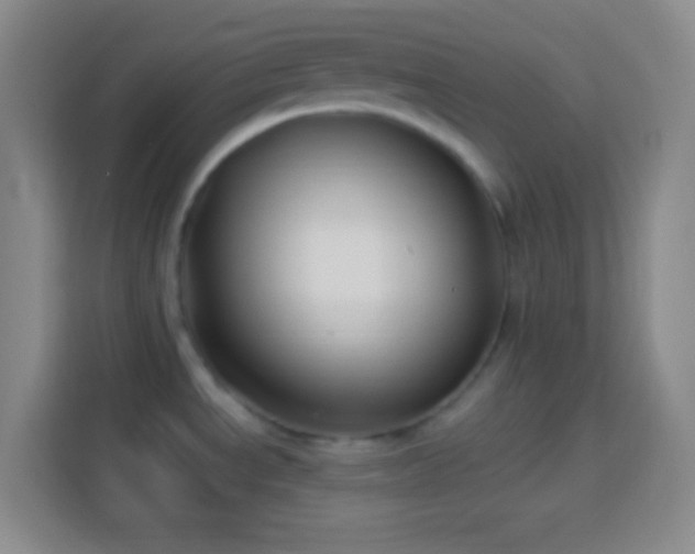 X0000113901534200910011332