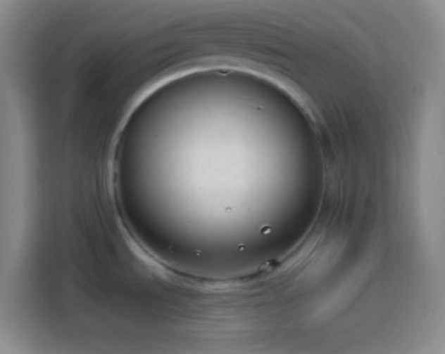 X0000113901535200910011332