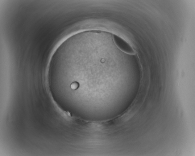 X0000113901536200910011332