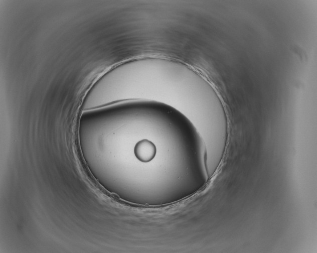 X0000113900001200910081838