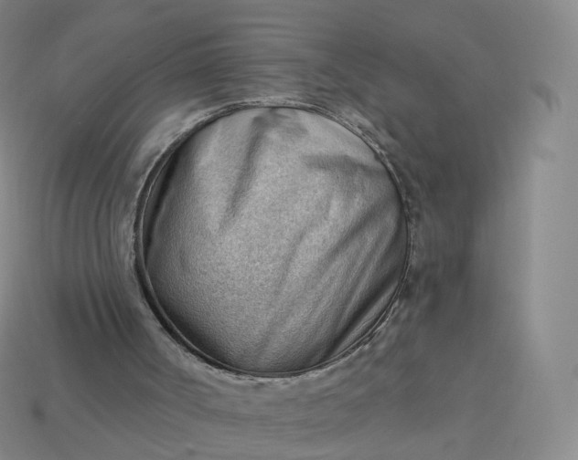 X0000113900002200910081838