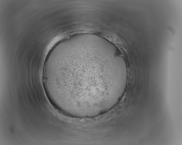 X0000113900003200910081838