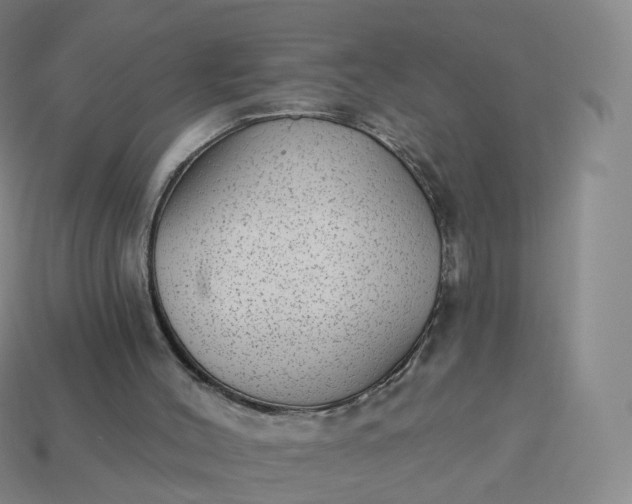 X0000113900004200910081838