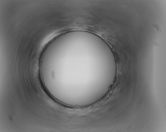 X0000113900005200910081838