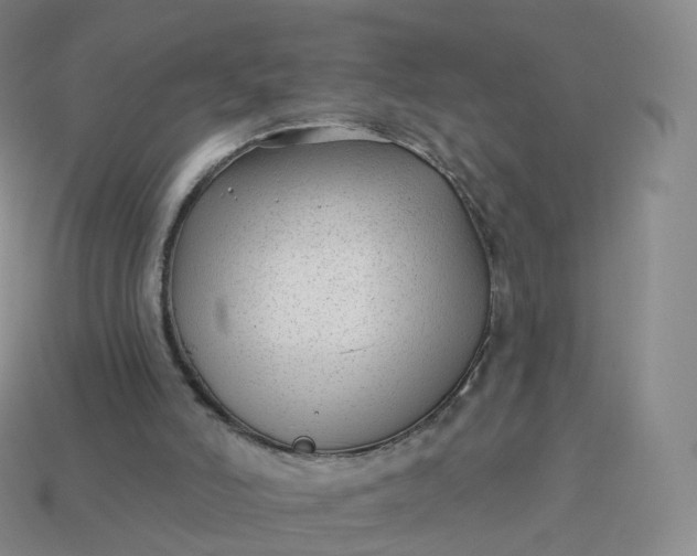 X0000113900006200910081838