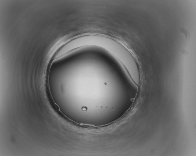 X0000113900007200910081838