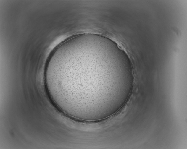 X0000113900008200910081838