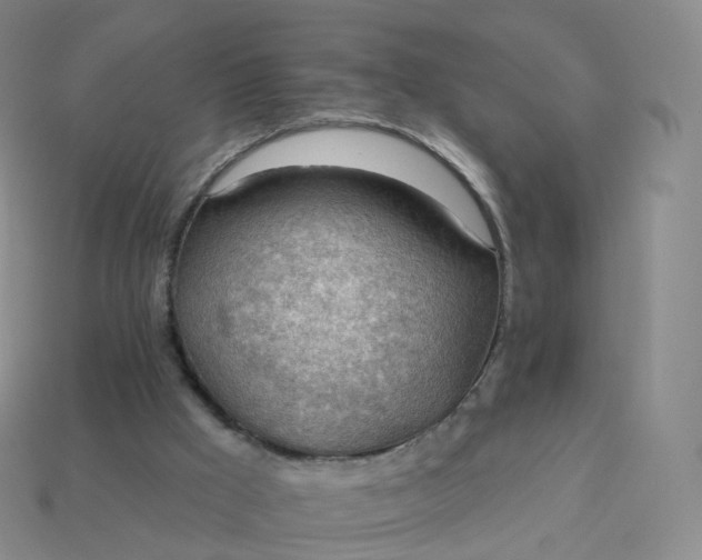 X0000113900009200910081838