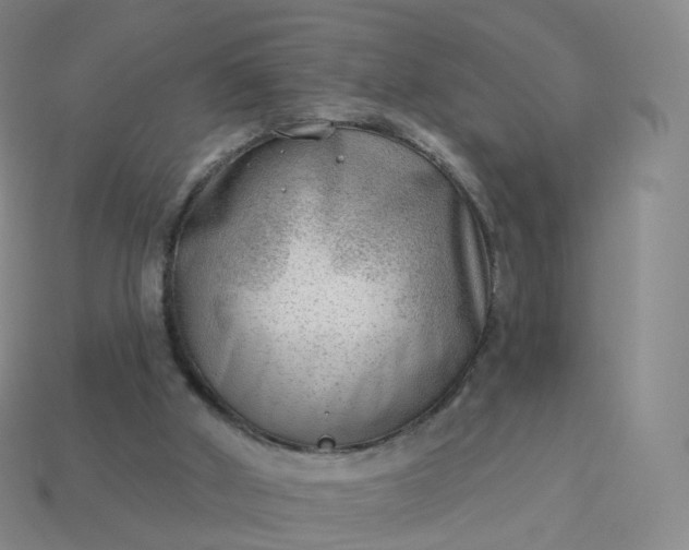 X0000113900010200910081838