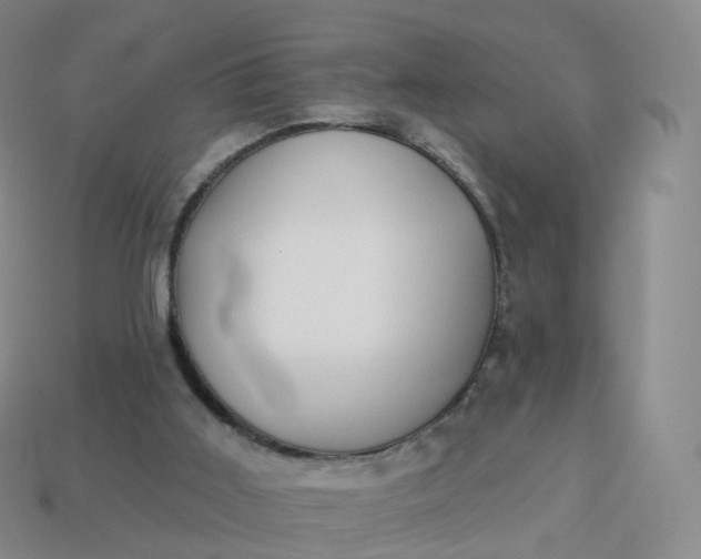 X0000113900011200910081838