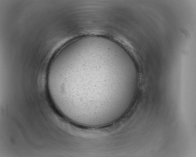 X0000113900012200910081838