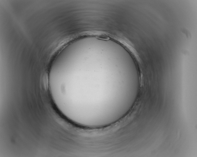 X0000113900013200910081838