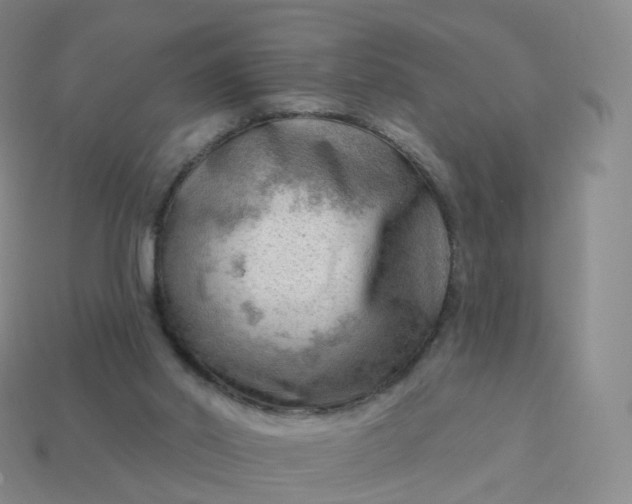 X0000113900014200910081838