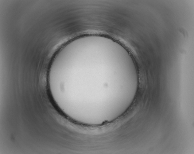 X0000113900015200910081838