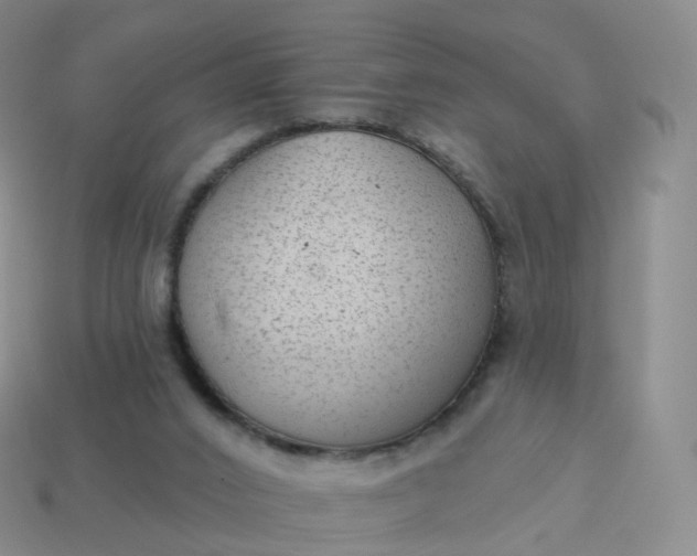 X0000113900016200910081838