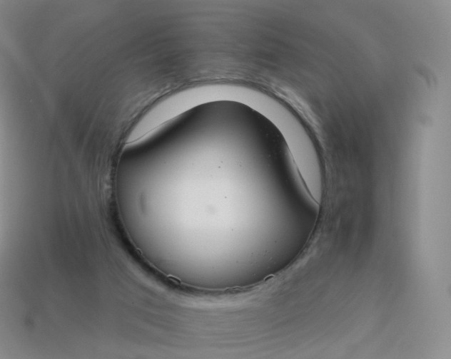 X0000113900017200910081838