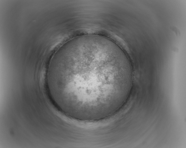 X0000113900018200910081838