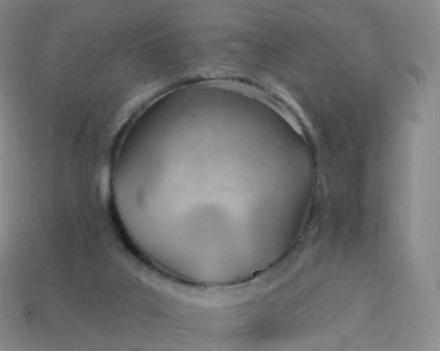 X0000113900019200910081838