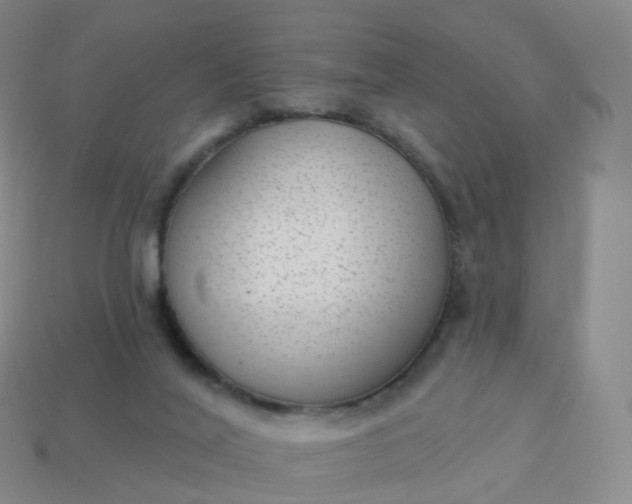 X0000113900020200910081838