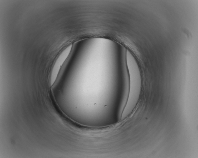 X0000113900021200910081838