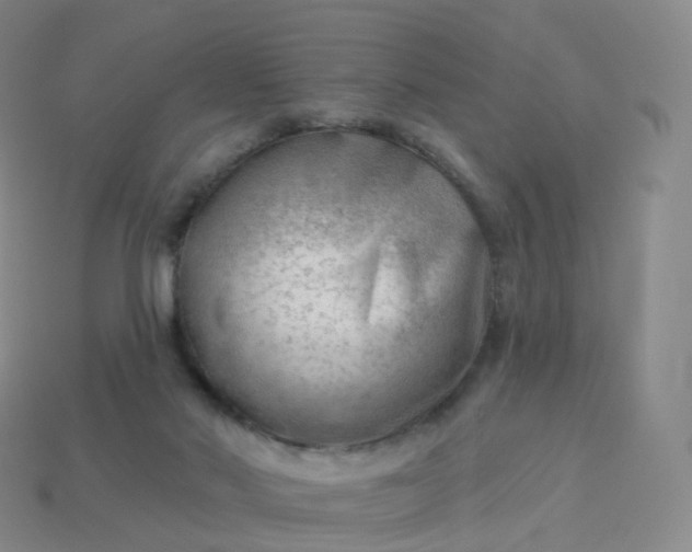 X0000113900022200910081838