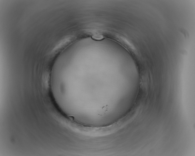 X0000113900023200910081838