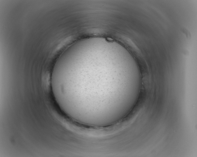 X0000113900024200910081838