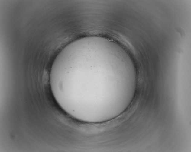 X0000113900025200910081838