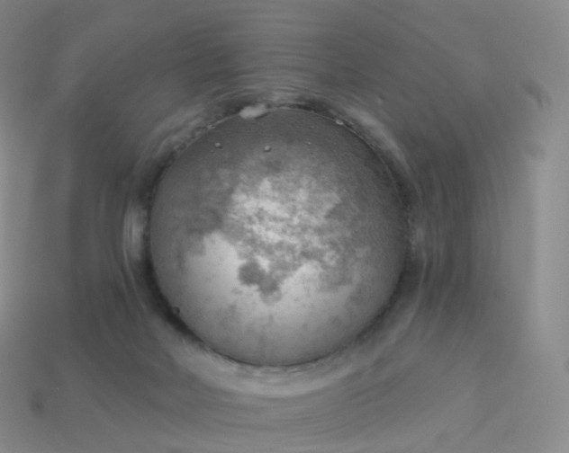 X0000113900026200910081838