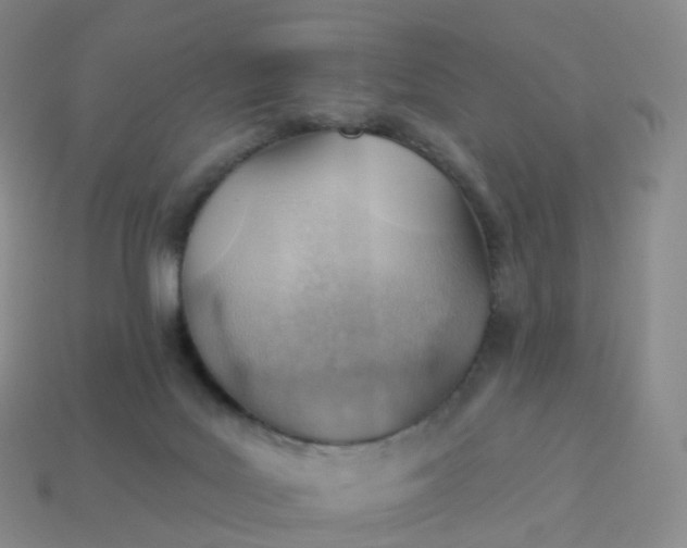 X0000113900027200910081838