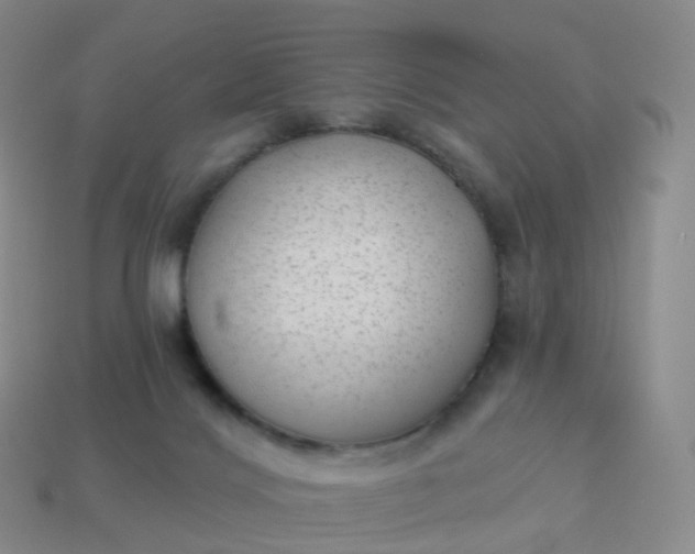 X0000113900028200910081838