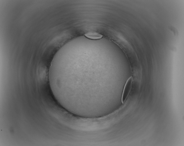 X0000113900029200910081838