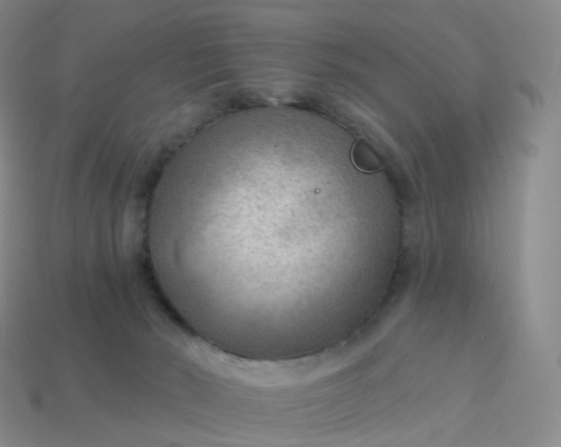 X0000113900030200910081838