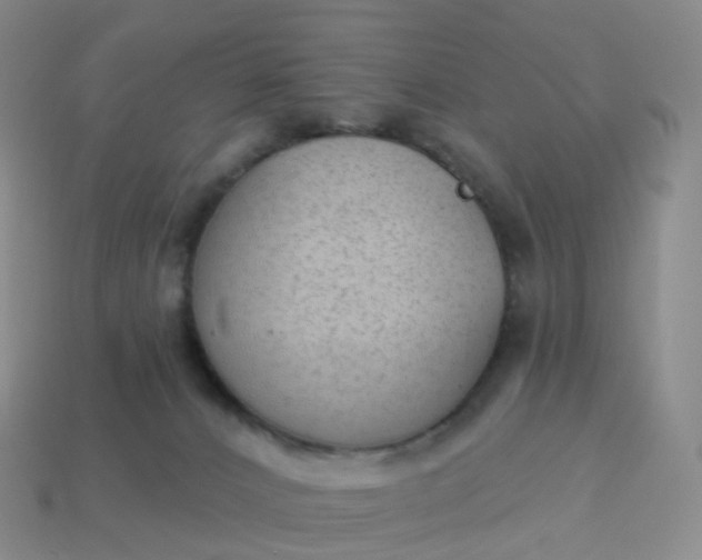 X0000113900032200910081838