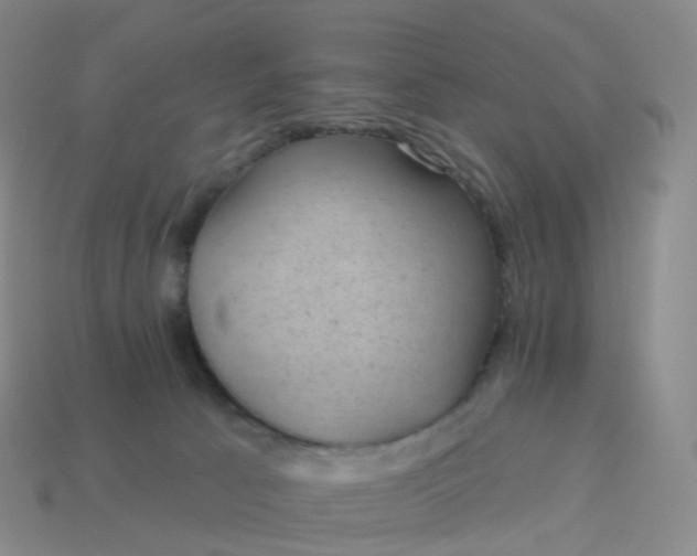 X0000113900033200910081838