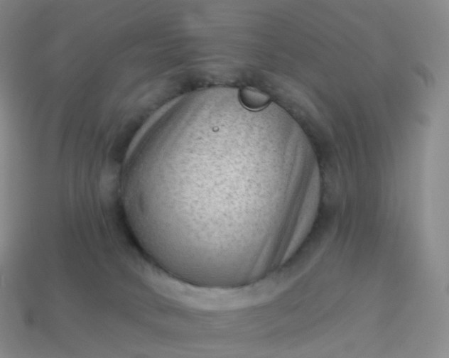 X0000113900034200910081838