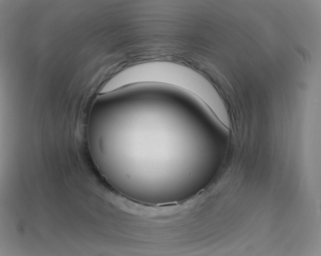 X0000113900035200910081838