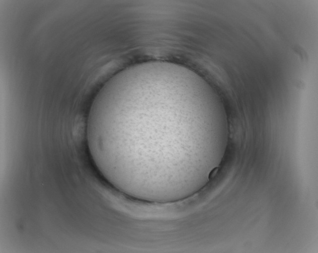 X0000113900036200910081838