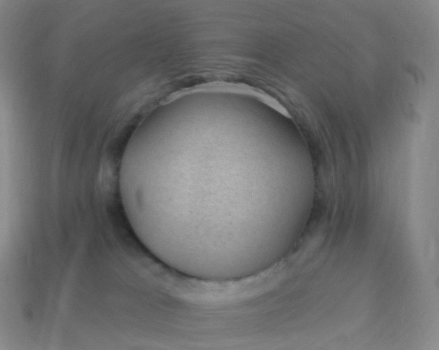 X0000113900037200910081838