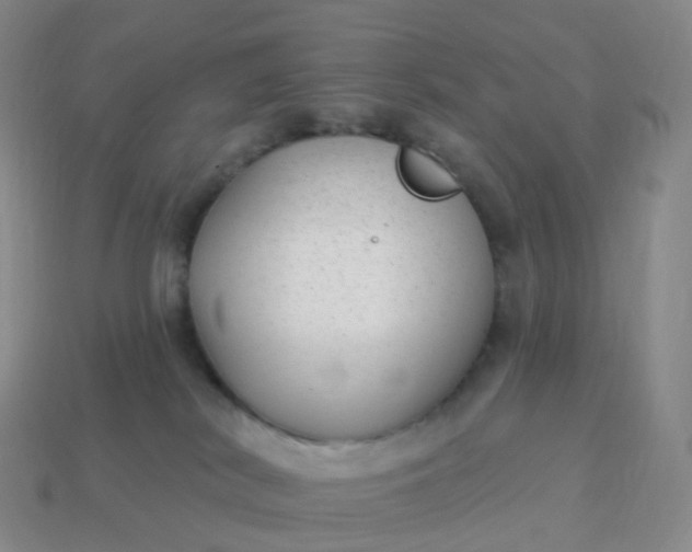 X0000113900038200910081838