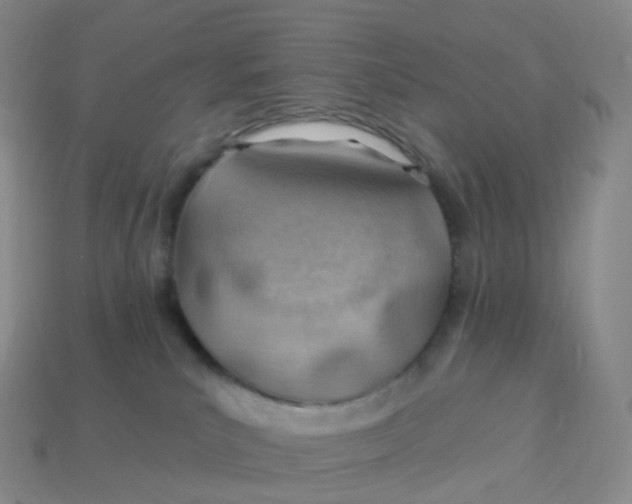 X0000113900039200910081838