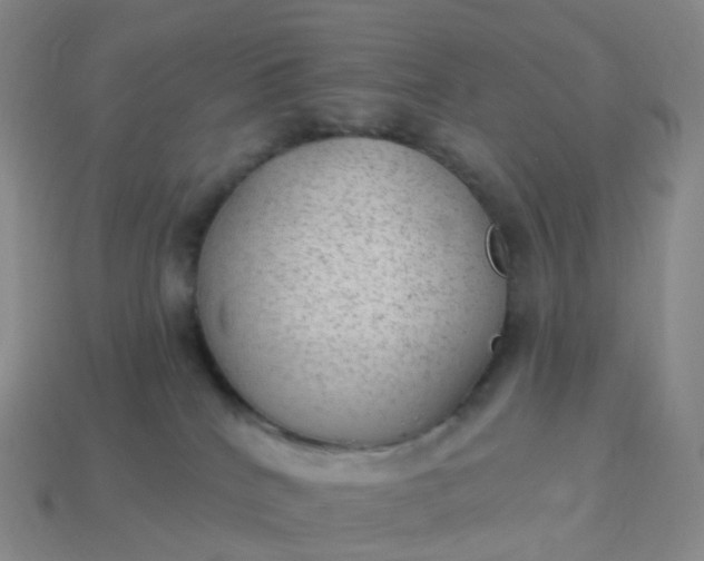 X0000113900040200910081838