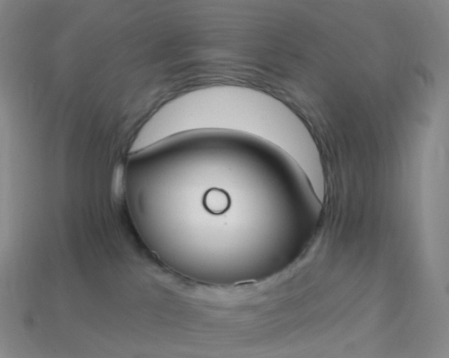 X0000113900041200910081838