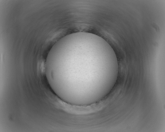 X0000113900042200910081838