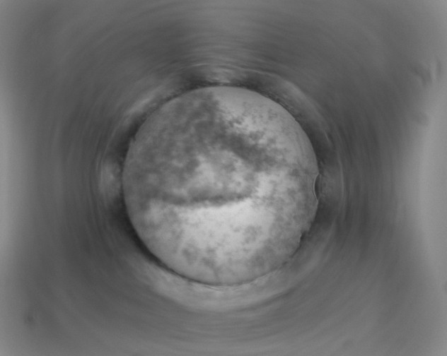 X0000113900043200910081838