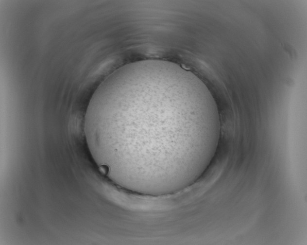 X0000113900044200910081838