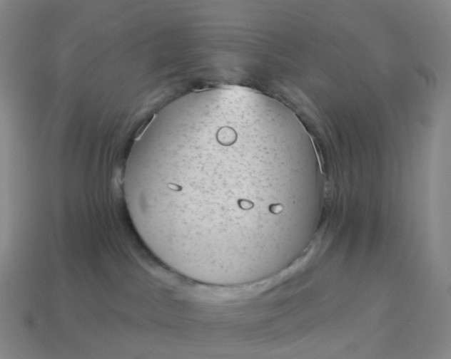 X0000113900045200910081838