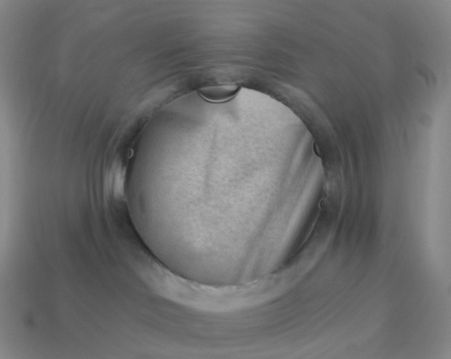 X0000113900046200910081838