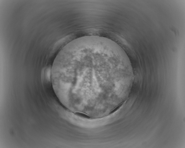 X0000113900047200910081838